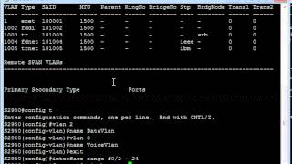 How to Configure Voice VLAN on a Cisco Switch [upl. by Alyahsat]