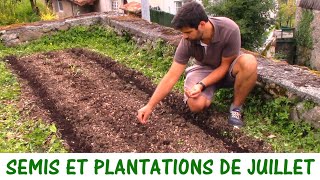 QUE SEMER ET PLANTER EN JUILLET [upl. by Cirdet]