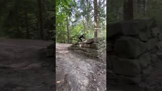 2 GAP LadiesOnlyTrail Deisterfreunde 🥳🎉 Woop woop  die Freude ist mega manongop mtb [upl. by Norvell]