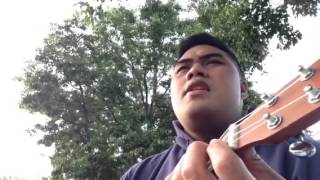 No Woman No Cry Bob Marley ukulele cover [upl. by Randene]