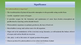 Photosynthesis Chloroplast Structure [upl. by Juster]