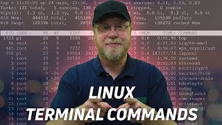 10 Linux Terminal Commands for Beginners [upl. by Binni]