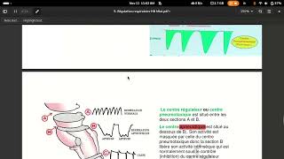 physiologie respiratoire centre respiratoire [upl. by Adine]