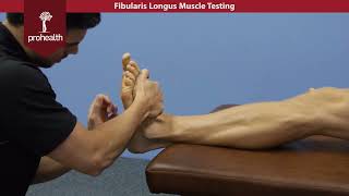 Fibularis Longus Muscle Test Palp Dr Vizniak Muscle Manual [upl. by Rosaleen]