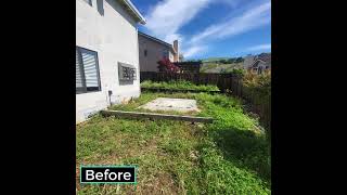 Are you ready for your Impressive Backyard Transformation [upl. by Carmon967]