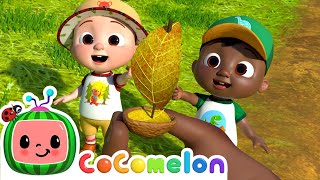 Row Row Stream Song  CoComelon  Codys Playtime  Songs for Kids amp Nursery Rhymes [upl. by Jackson]