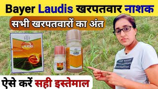 खरपतवार का 100 नियंत्रण  laudis herbicide  bayer laudis  best corn herbicide spray  laudis [upl. by Eilasor]