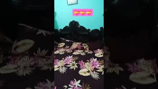 nice home sweet roomviral video [upl. by Eiduj81]