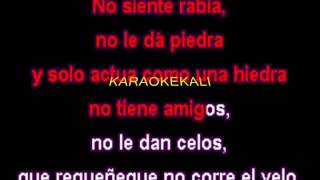 GRUPO NICHE MECANICO KARAOKE DEMO [upl. by Nwahsem]