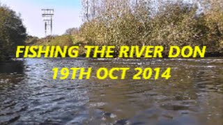 RIVER DON FISHING 19TH OCT 2014  VIDEO 20 [upl. by Aihsekan237]