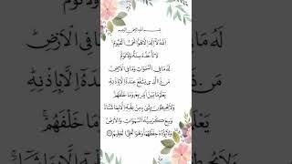 ayat Al kursi [upl. by Annuahs776]