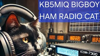 License Tips for new hams for HF Rigs MARS mod 10 meters mtc mfj hamradio 10meters [upl. by Wise]