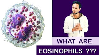 What are Eosinophils   Clear amp Complete Explain [upl. by Oeniri]