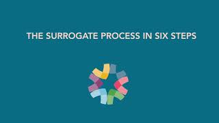 The Surrogate Process Six Steps To Become a Surrogate with ConceiveAbilities Surrogacy Agency [upl. by Suissac]