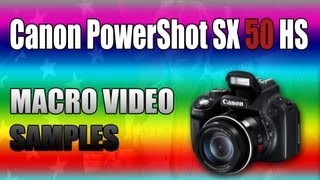 Canon PowerShot SX50 HS  Macro Video Samples [upl. by Dwan506]