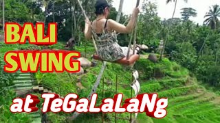 Bali Swing At Tegalalang Rice Terrace Ubud amp Bongkasa Village [upl. by Kcor537]