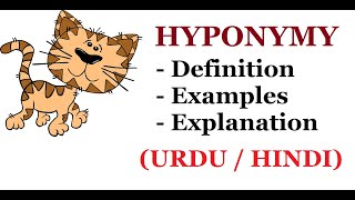 What is Hyponymy   Definition with Examples and Explanation  Urdu  Hindi [upl. by Innob]