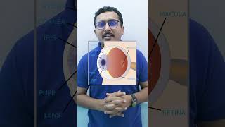 Structure of Human eye sciencekipaathshala science physics humaneye class10 retina lens [upl. by Olnee]