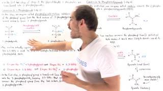 Stage 3 of Glycolysis Steps 8 910 [upl. by Catherine]