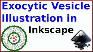 Inkscape for scientists  21  How to Illustrate an exocytic or endocytic vesicle [upl. by Intyre]