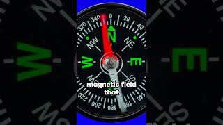 Pointing North Decoding the Science Behind How Compasses Work NavigationMystery [upl. by Aillicirp]