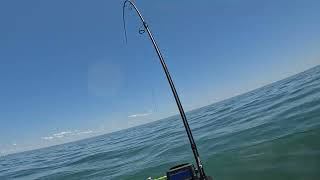 2024 Sea Doo Fish Pro Trophy A few first fish on this rig Montauk NY Fishing [upl. by Amata]