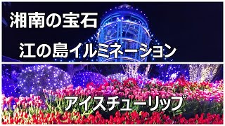 2023～2024 江ノ島イルミネーション「湘南の宝石」と満開のアイスチューリップ [upl. by Reyotal432]