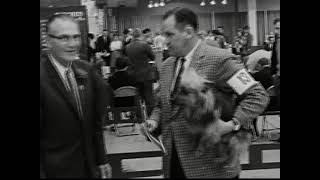 International Dog Show Chicago 1964 [upl. by Gwyneth]