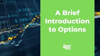 Brief Introduction to Options Trading  QuantInsti [upl. by Ritter373]