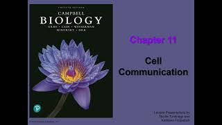 General Biology College  Chapter 11  Cell Communication [upl. by Kincaid250]