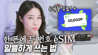 한 폰에 두 번호 eSIM 6개월 무료로 써보는 꿀팁💡eSIM 통신사 요금제 고르는 법 [upl. by Sari]