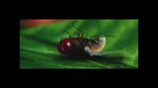 eega movie bindu bindu bagruound music [upl. by Roter679]