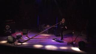 Eliana Burki  the funky Alphorn  move on up GaskesselBerne Switzerlandmp4 [upl. by Oalsecnew]