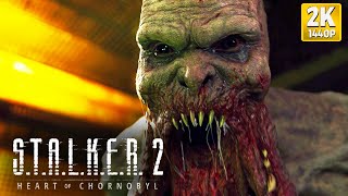 STALKER 2 Heart of Chornobyl  A Primeira Meia Hora PC2K [upl. by Airad219]