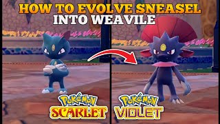 How To Evolve Sneasel Into Weavile In Pokemon Scarlet and Violet [upl. by Marler]