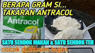 Timbangan Antracol Satu Sendok Makan Dan Satu Sendok Teh Ada Berapa Gram [upl. by Sinclair942]