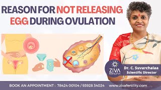 Ovulation Problems  Anovulation  Fertility Tips  Dr C Suvarchalaa  ZIVA Fertilityy [upl. by Fineberg]