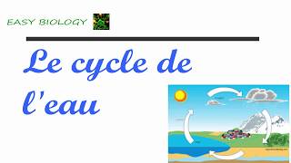 Le cycle de leau [upl. by Allehcim287]