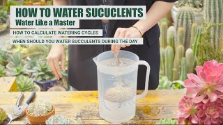 HOW TO WATER SUCCULENTS LIKE A MASTER  9 Years Living with Succulents [upl. by Alice994]