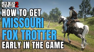 How to get Missouri Fox Trotter EARLY  RDR2 [upl. by Napas]