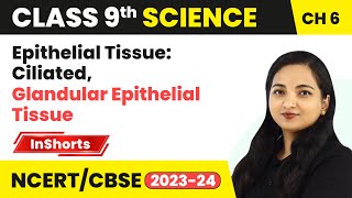 Epithelial Tissue Ciliated Glandular Epithelial Tissue  Class 9 Biology Chapter 6  Tissues [upl. by Harbed]