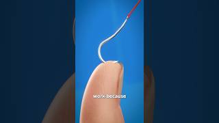 How To Remove A Fishhook😱 shorts [upl. by Winni190]