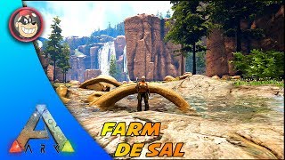 🔵 ARK SURVIVAL EVOLVED  RAGNAROK ONDE ENCONTRAR SAL PARA CONSERVAPTBR [upl. by Tracay923]