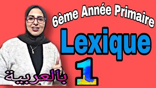 Lexique 1 Comment utiliser le dictionnaire شرح بالعربية [upl. by Natsirhc]