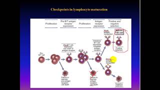 Immune  Receptor Gene Rearrangement amp Recombination مناعة [upl. by Missie91]