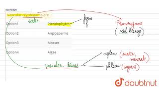 Vascular cryptogams are [upl. by Neelyaj]