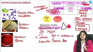 Microbiology LRR  Dr Preeti Maam  INICETFMGE NEETPG [upl. by Suiravad]