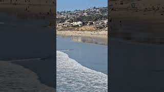 Pacific Beach ocean beautiful waves beach sandiego california chill travel [upl. by Sabir721]