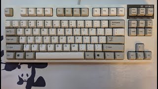 Keyboard Typing ASMR  Realforce R2 PFU Limited Edition  45g 2 [upl. by Dale]