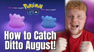 How to CATCH Ditto in August 2023 FULL Ditto disguises Pokémon Go [upl. by Sou841]